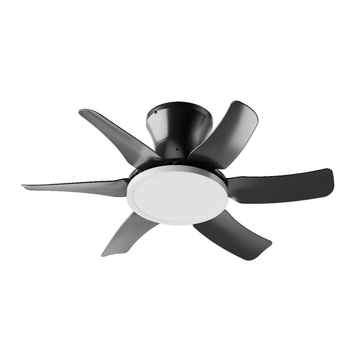 Ksd Fsd2503（black)