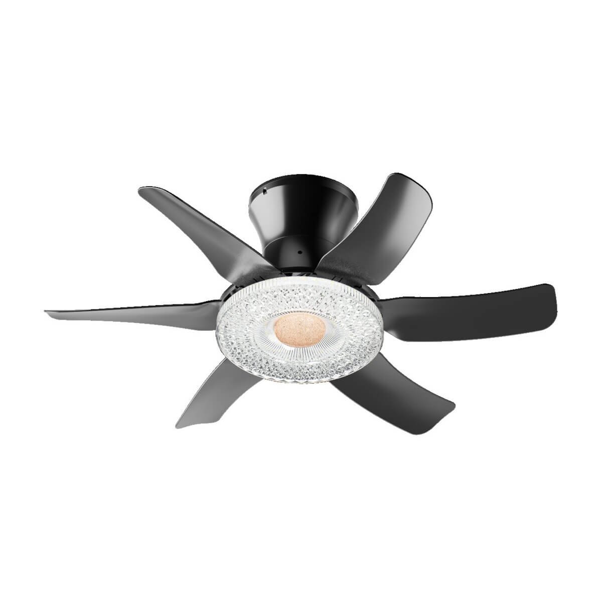 Ksd Fsd2506（black)